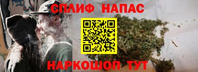 индика Пугачёв