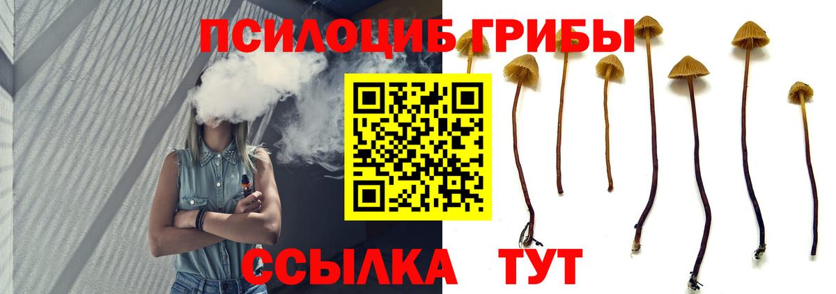 Сочи  Псилоцибиновые грибы MAGIC MUSHROOMS  Вход с VPN  Галлюциногенные грибы Psilocybine cubensis 